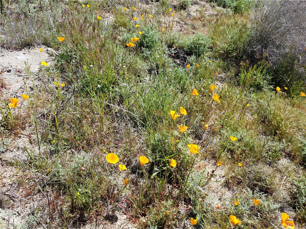 0 Secret Falls Road Aguanga, CA 92536 - Photo 13 of 17 Gallery Image 13
