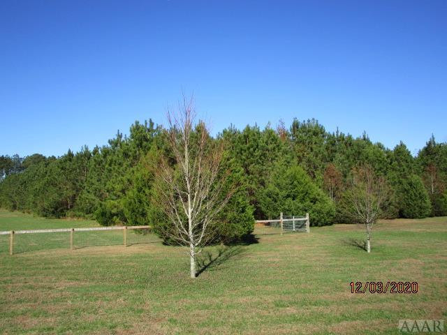 41 Brinkley Road Corapeake, NC 27926 - Photo 68 of 75 2 acre wood lot
