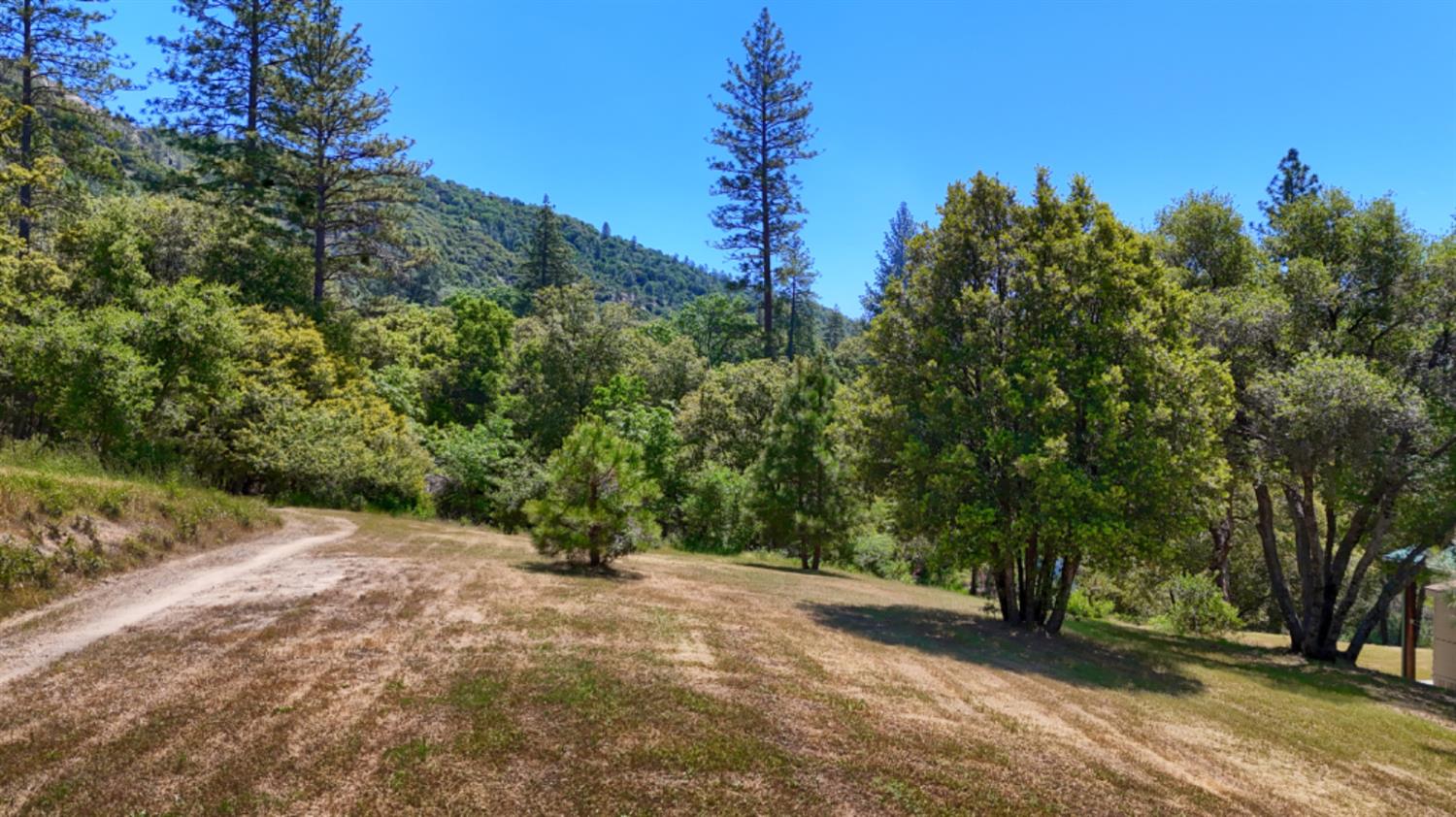 2843 East Westfall Road Mariposa, CA 95338 - Photo 42 of 45 a view of a yard with a tree