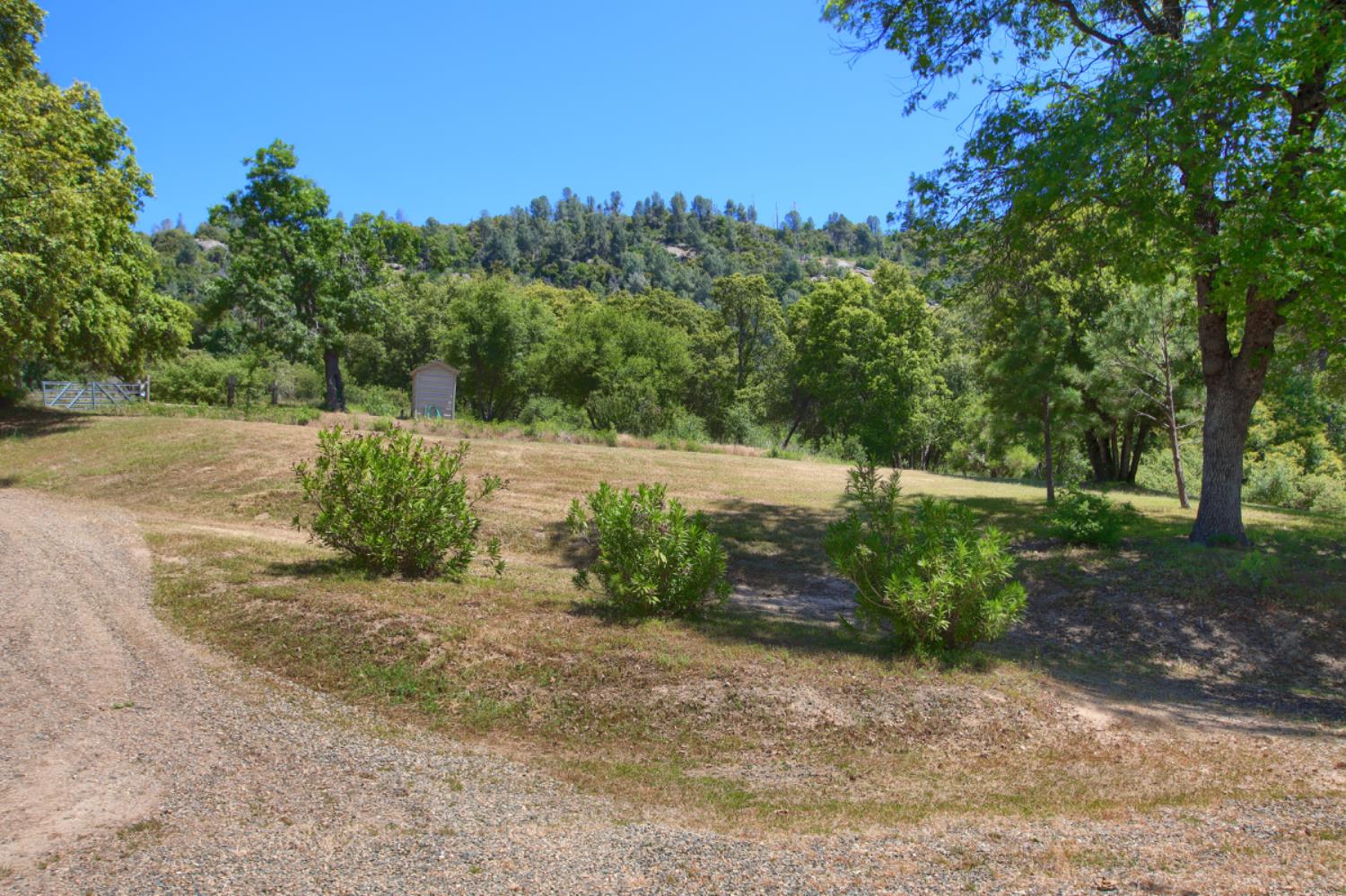 2843 East Westfall Road Mariposa, CA 95338 - Photo 43 of 45 a backyard of a house with lots of green space