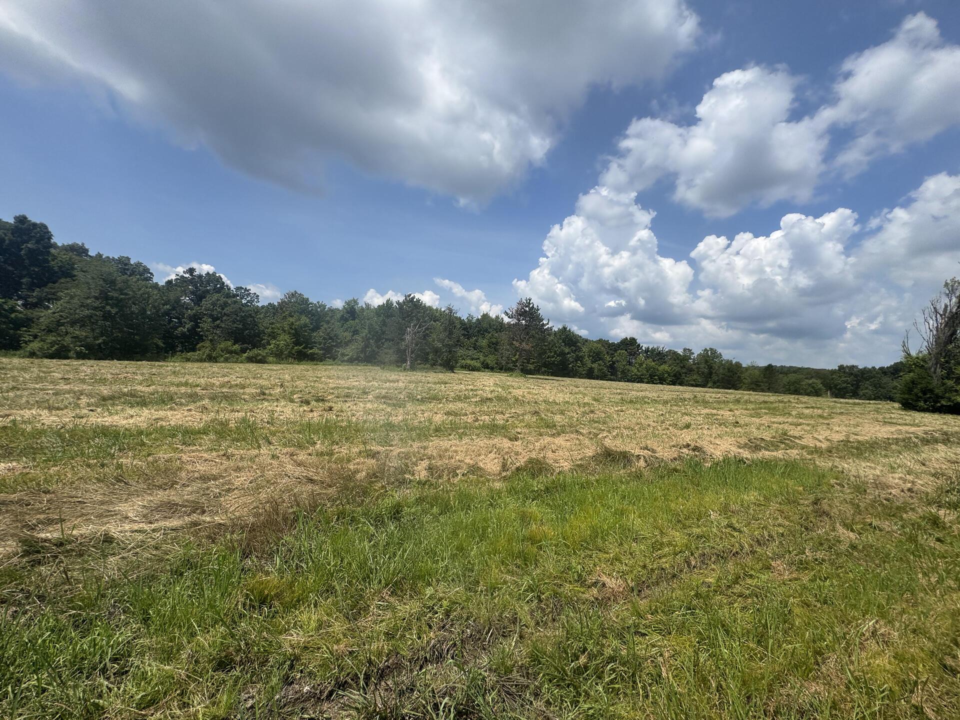 370 Golf Course Road, Unit TRACT 5 SKYLINEACRES) Waverly, OH 45690 - Photo 20 of 38 CT-20