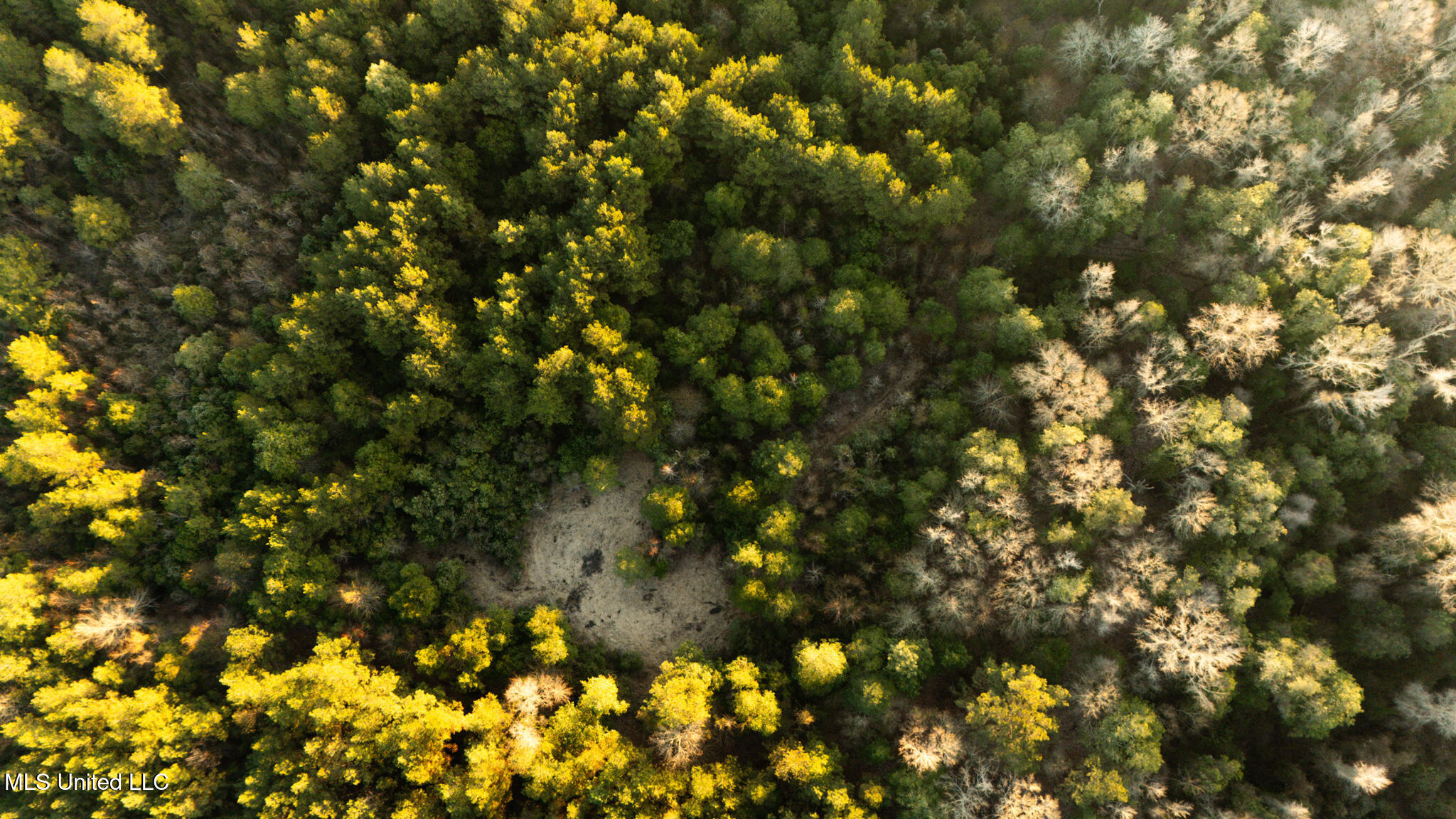 Foster Mcconnell Road Seminary, MS 39479 - Photo 11 of 39 DJI_20260206071728_0029_D