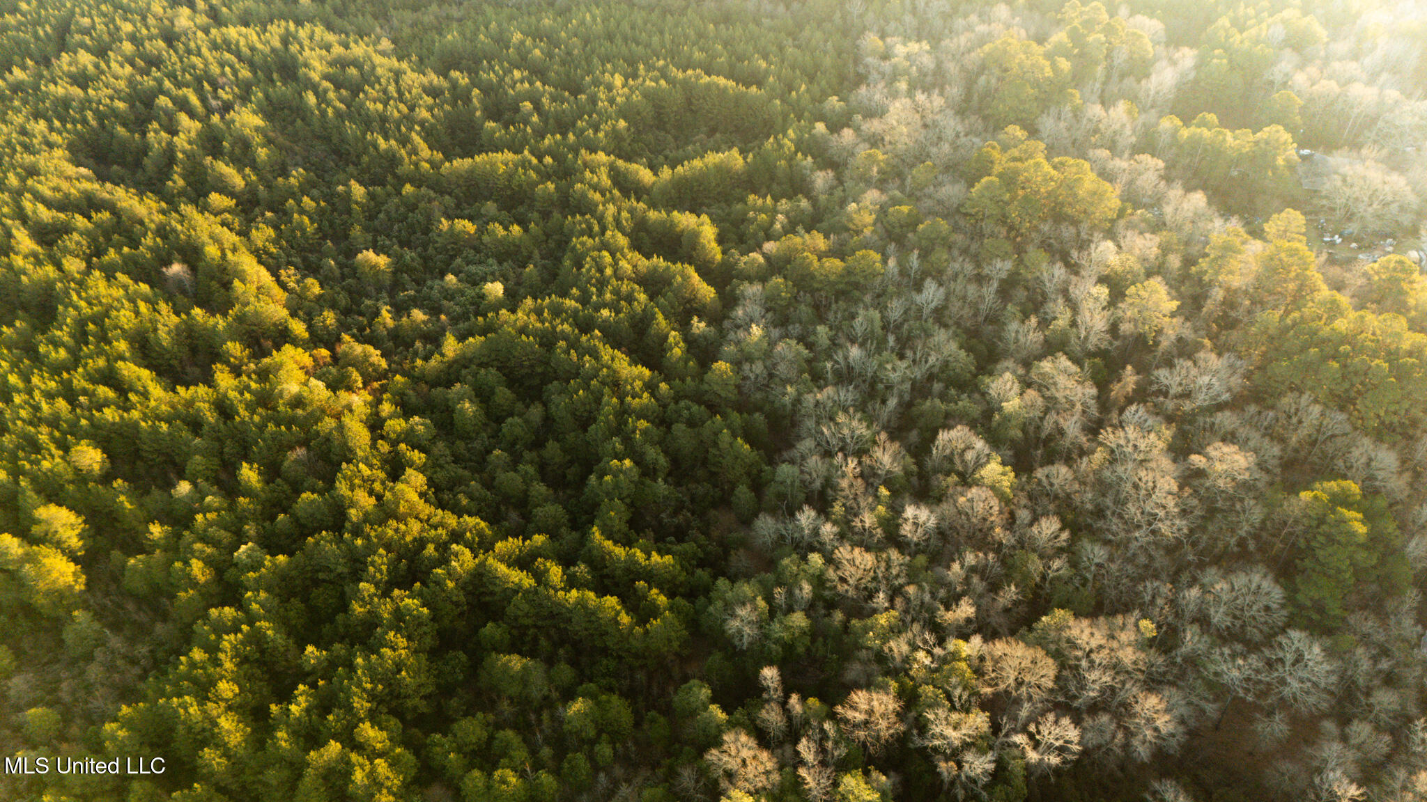 Foster Mcconnell Road Seminary, MS 39479 - Photo 15 of 39 DJI_20260206071830_0032_D