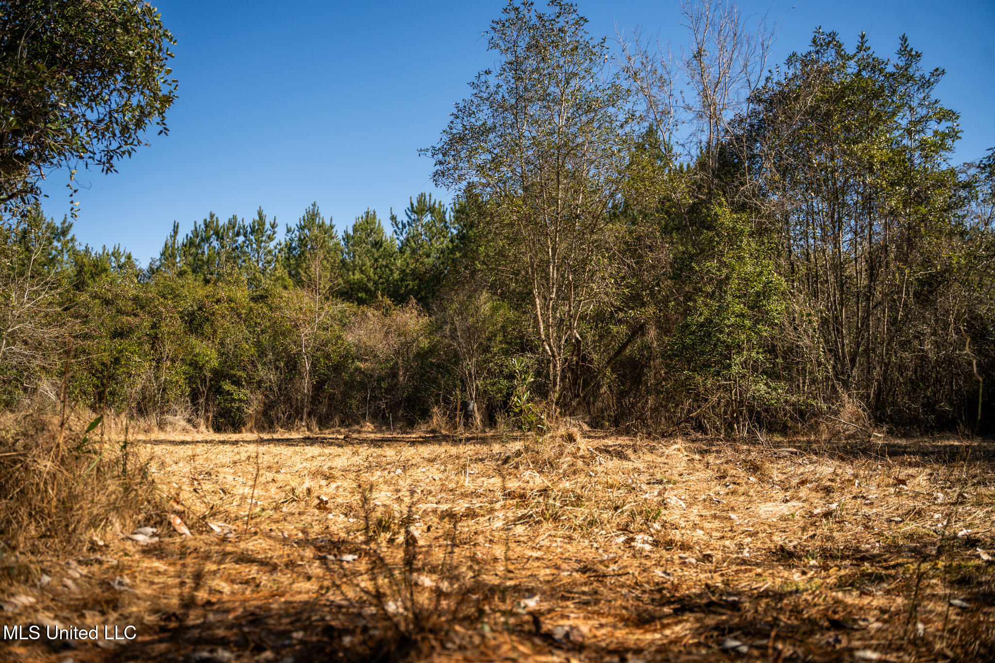 Foster Mcconnell Road Seminary, MS 39479 - Photo 18 of 39 DSC08428