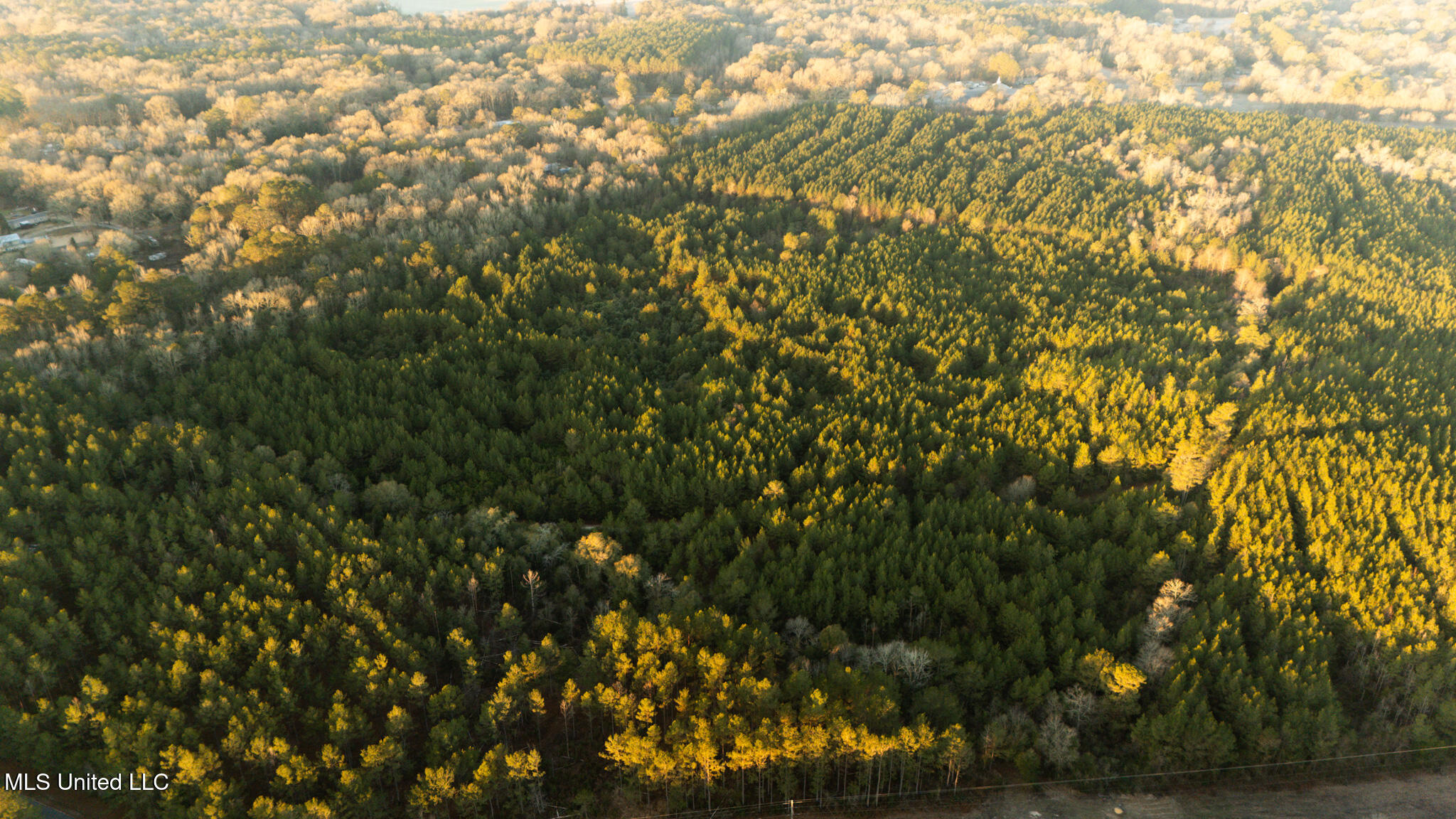 Foster Mcconnell Road Seminary, MS 39479 - Photo 3 of 39 DJI_20260206070909_0015_D