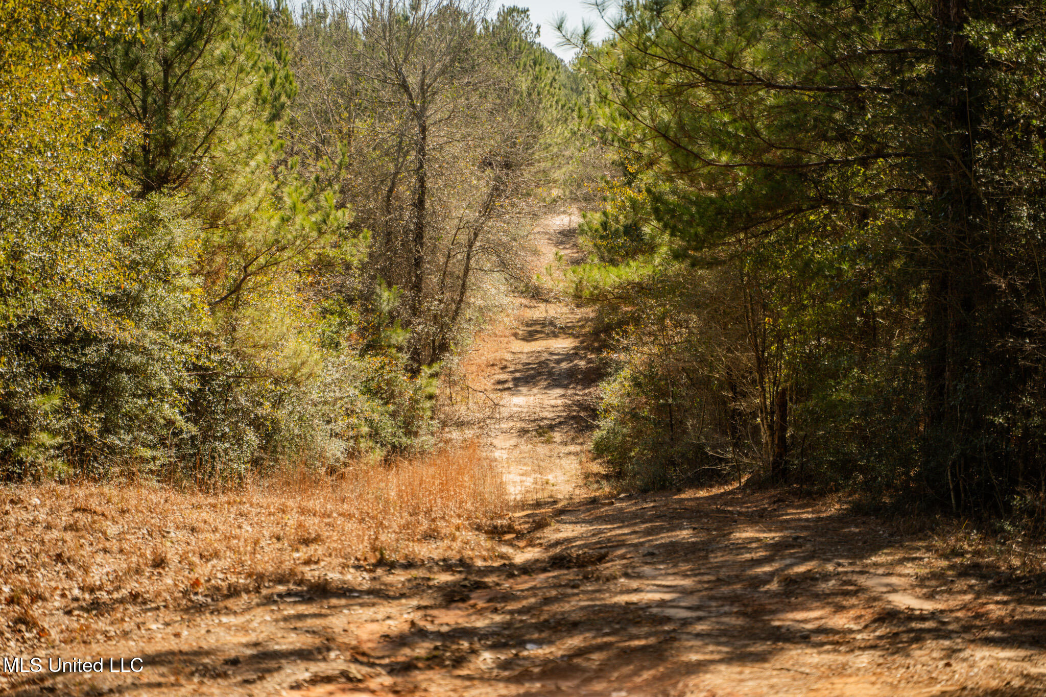 Foster Mcconnell Road Seminary, MS 39479 - Photo 31 of 39 DSC08451