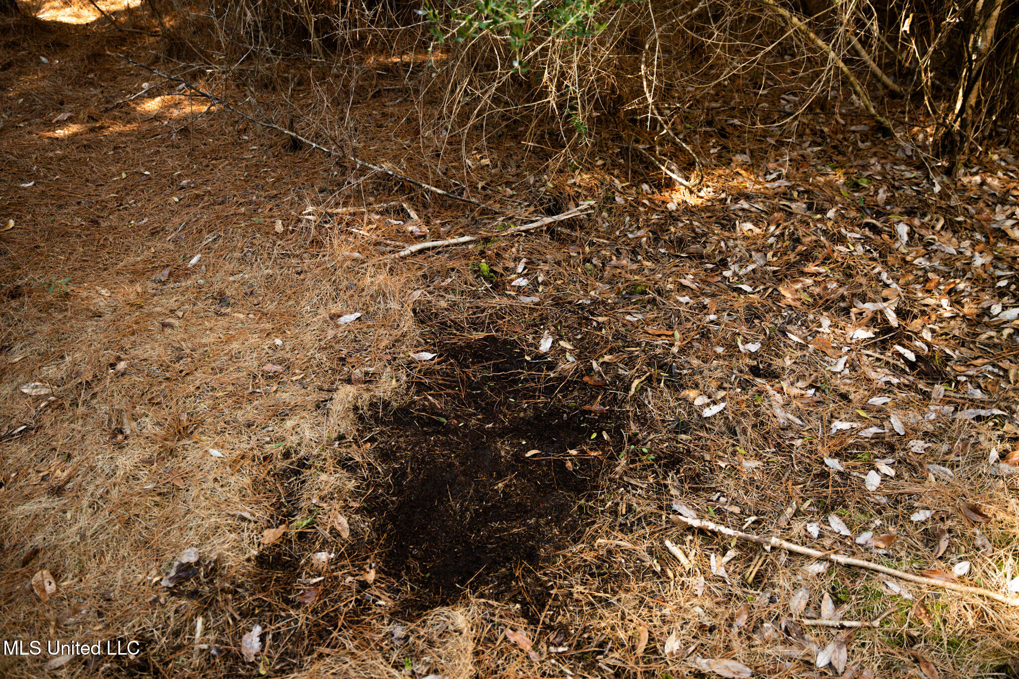 Foster Mcconnell Road Seminary, MS 39479 - Photo 34 of 39 DSC08459