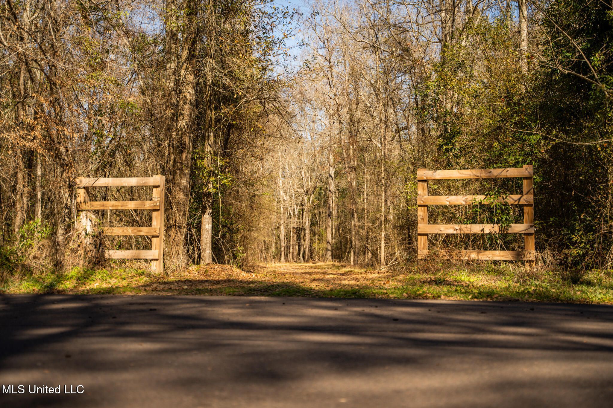 Foster Mcconnell Road Seminary, MS 39479 - Photo 37 of 39 DSC08466