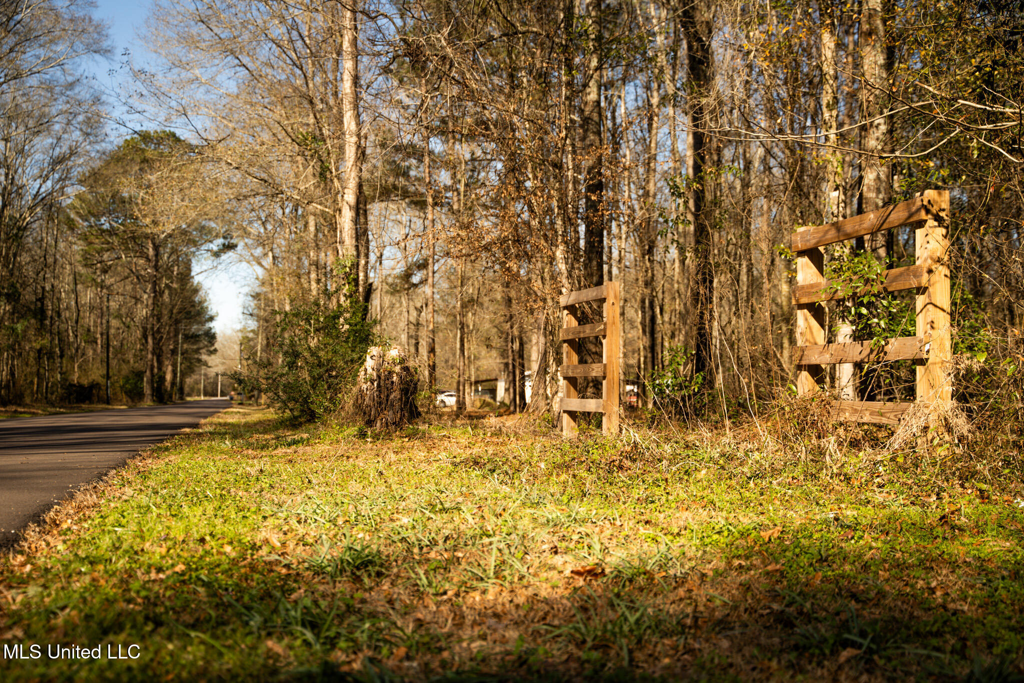 Foster Mcconnell Road Seminary, MS 39479 - Photo 4 of 39 DSC08423
