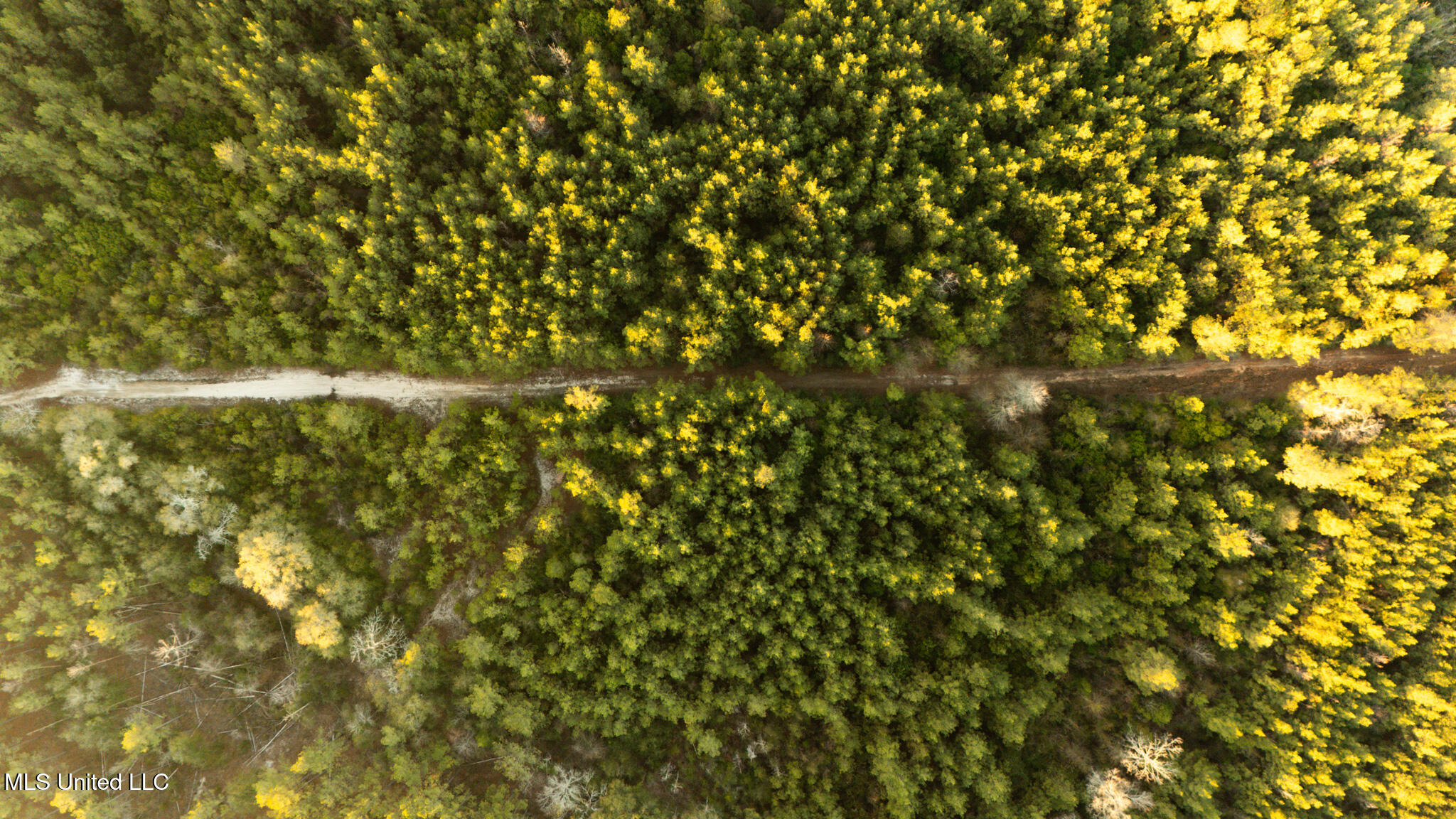 Foster Mcconnell Road Seminary, MS 39479 - Photo 5 of 39 DJI_20260206071107_0019_D