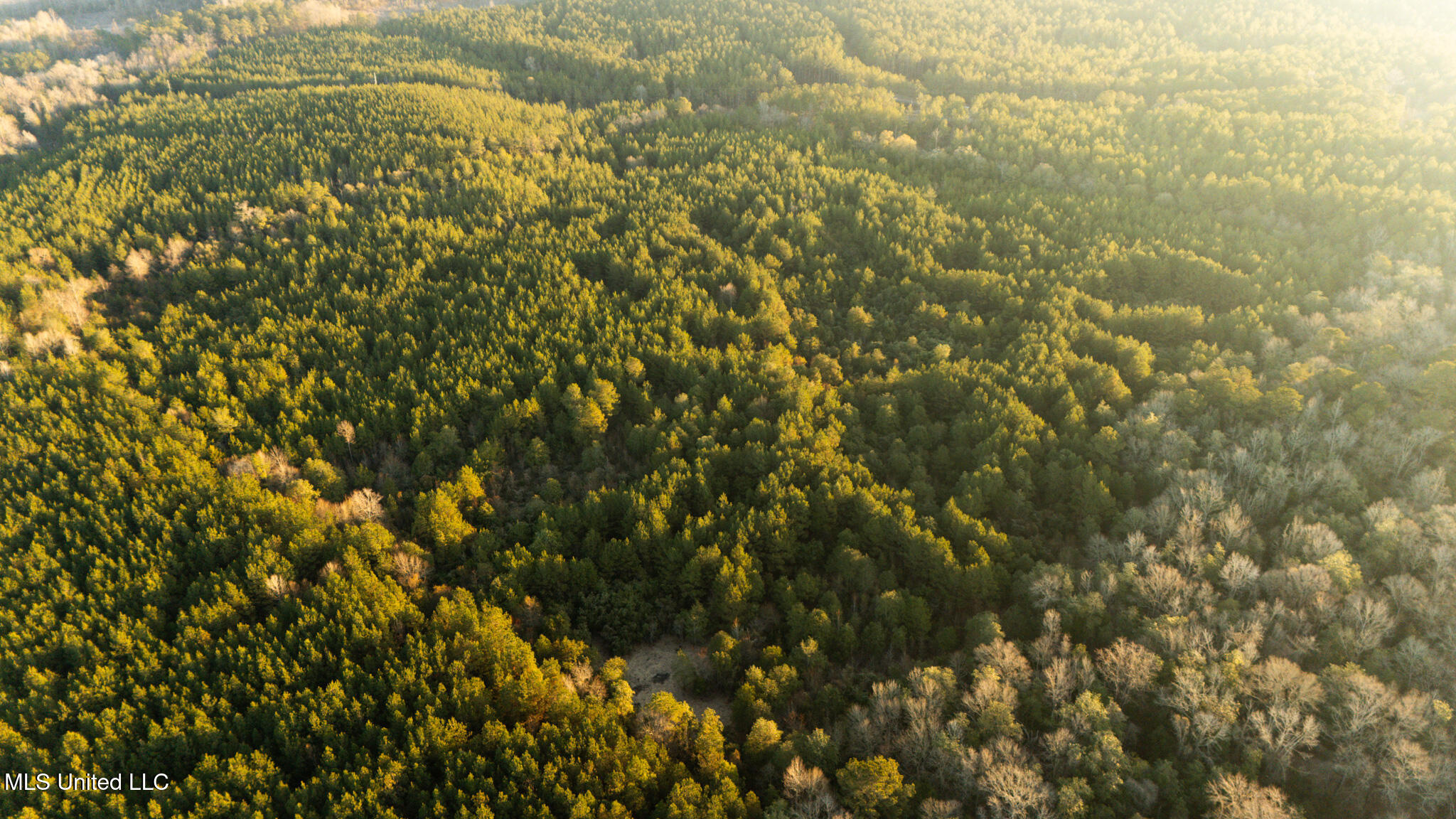 Foster Mcconnell Road Seminary, MS 39479 - Photo 9 of 39 DJI_20260206071902_0033_D