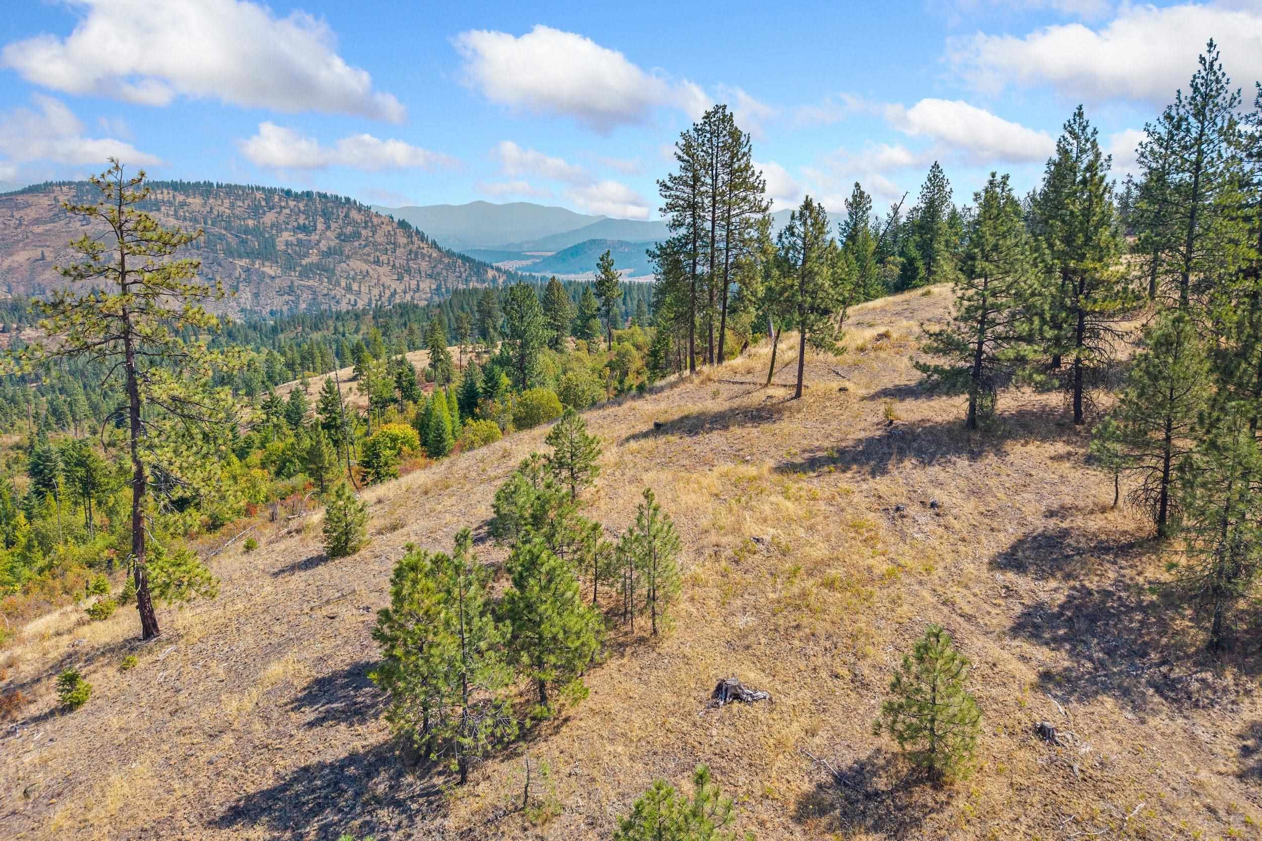 Nka Hoag Road Valley, WA 99181 - Photo 23 of 35 Gallery Image 23