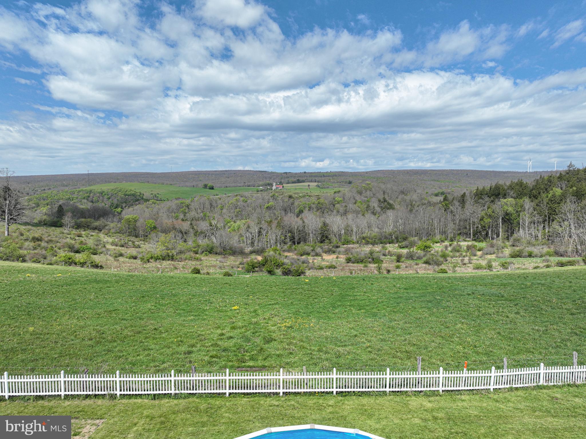 18 Springs Road Grantsville, MD 21536 - Photo 15 of 106 a view of a grassy field with an trees
