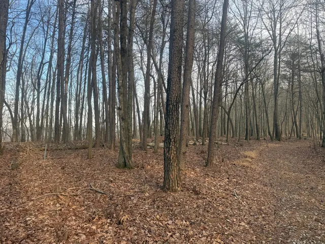 $79,500 | 0 Shivas Crest, Unit 70B, Rising Fawn, GA 30738