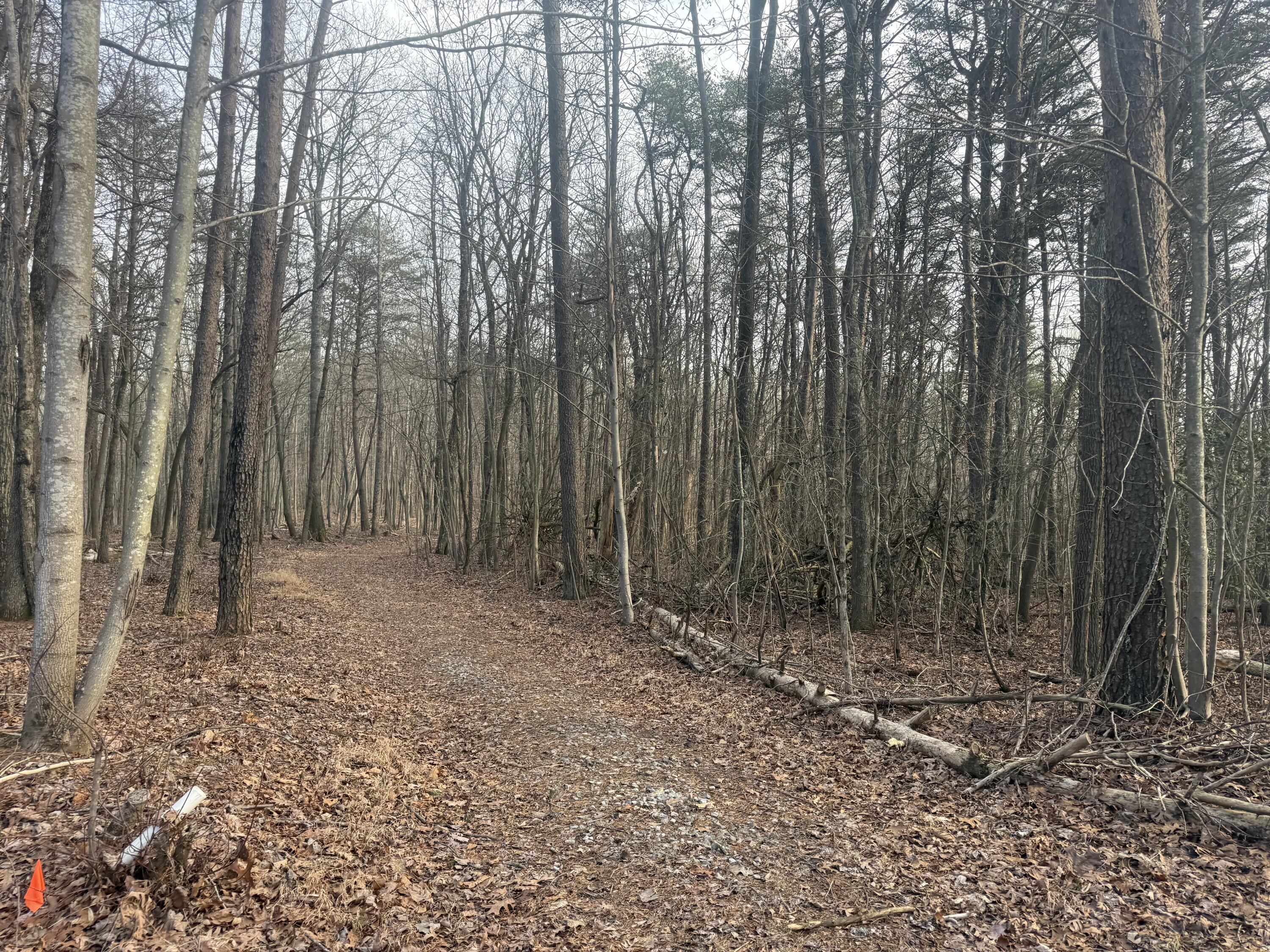 0 Shivas Crest, Unit 70B Rising Fawn, GA 30738 - Photo 11 of 16 IMG_0642