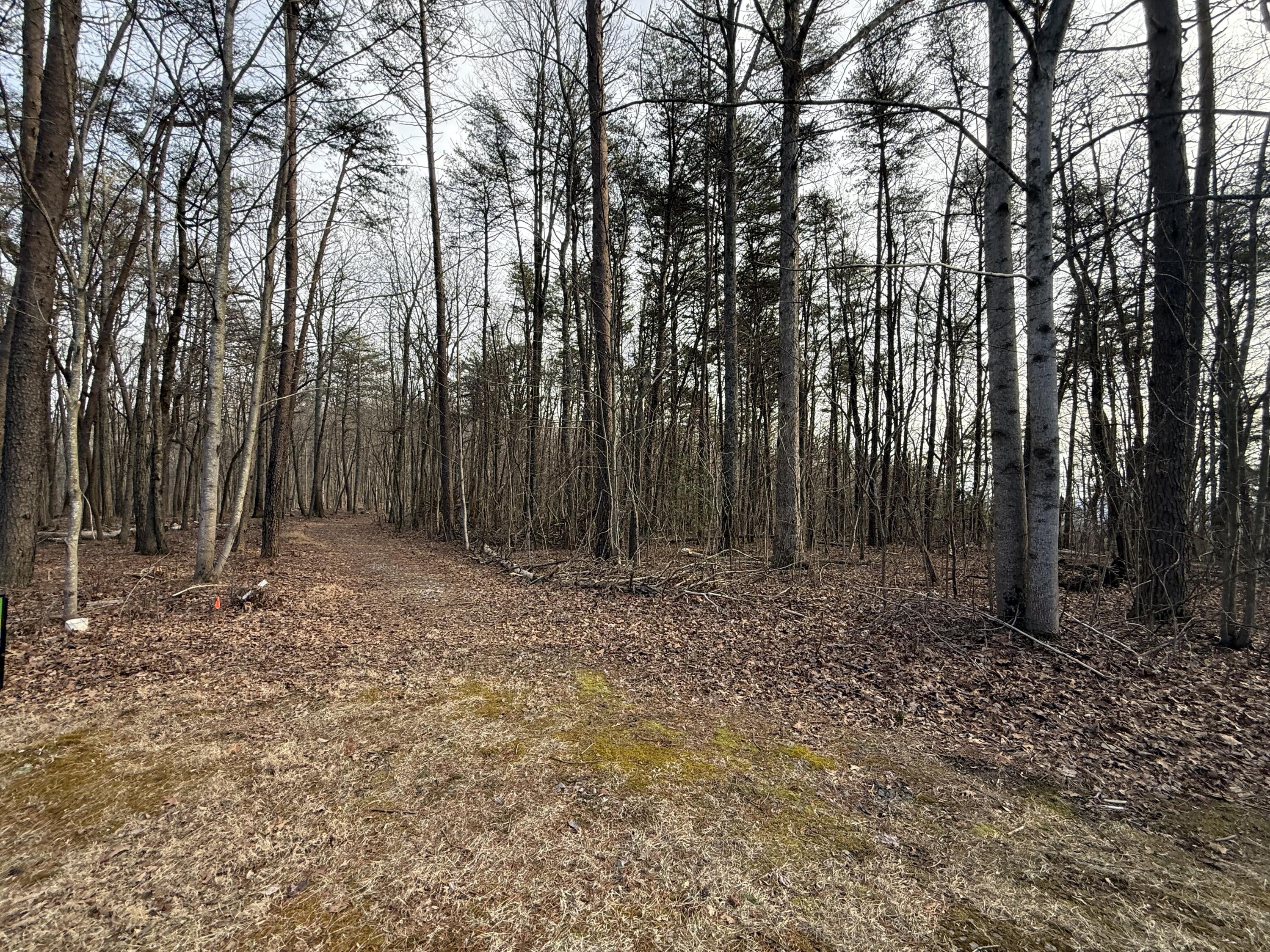0 Shivas Crest, Unit 70B Rising Fawn, GA 30738 - Photo 13 of 16 IMG_0653