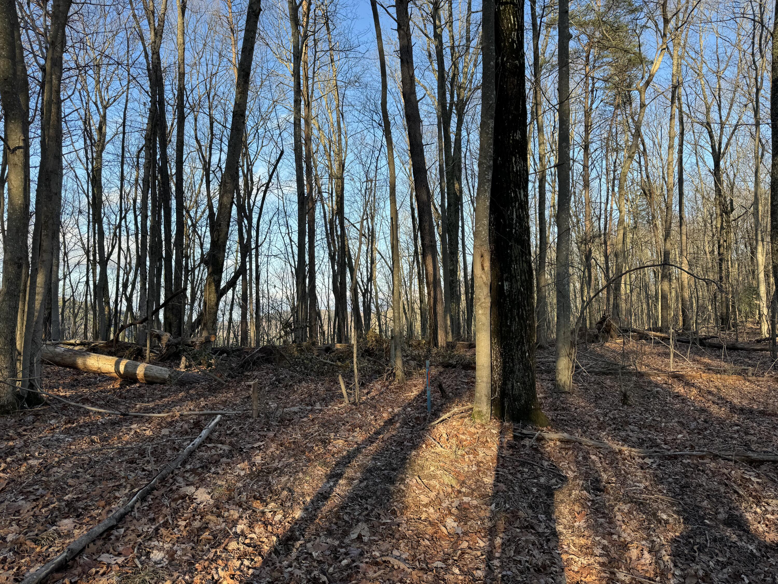 0 Shivas Crest, Unit 70B Rising Fawn, GA 30738 - Photo 2 of 16 IMG_3114