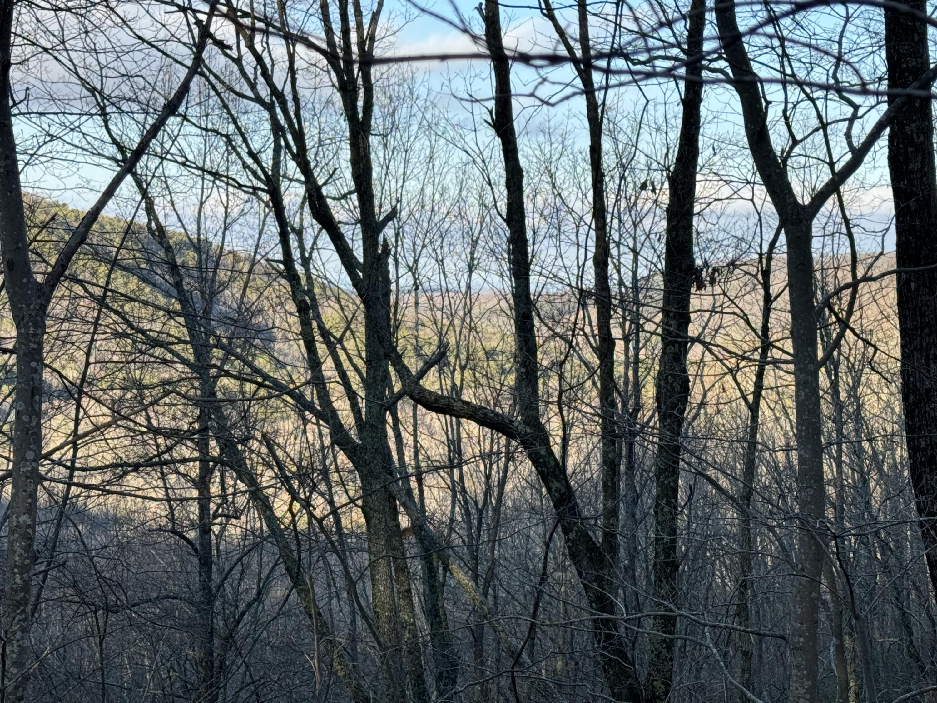 0 Shivas Crest, Unit 70B Rising Fawn, GA 30738 - Photo 4 of 16 IMG_3117