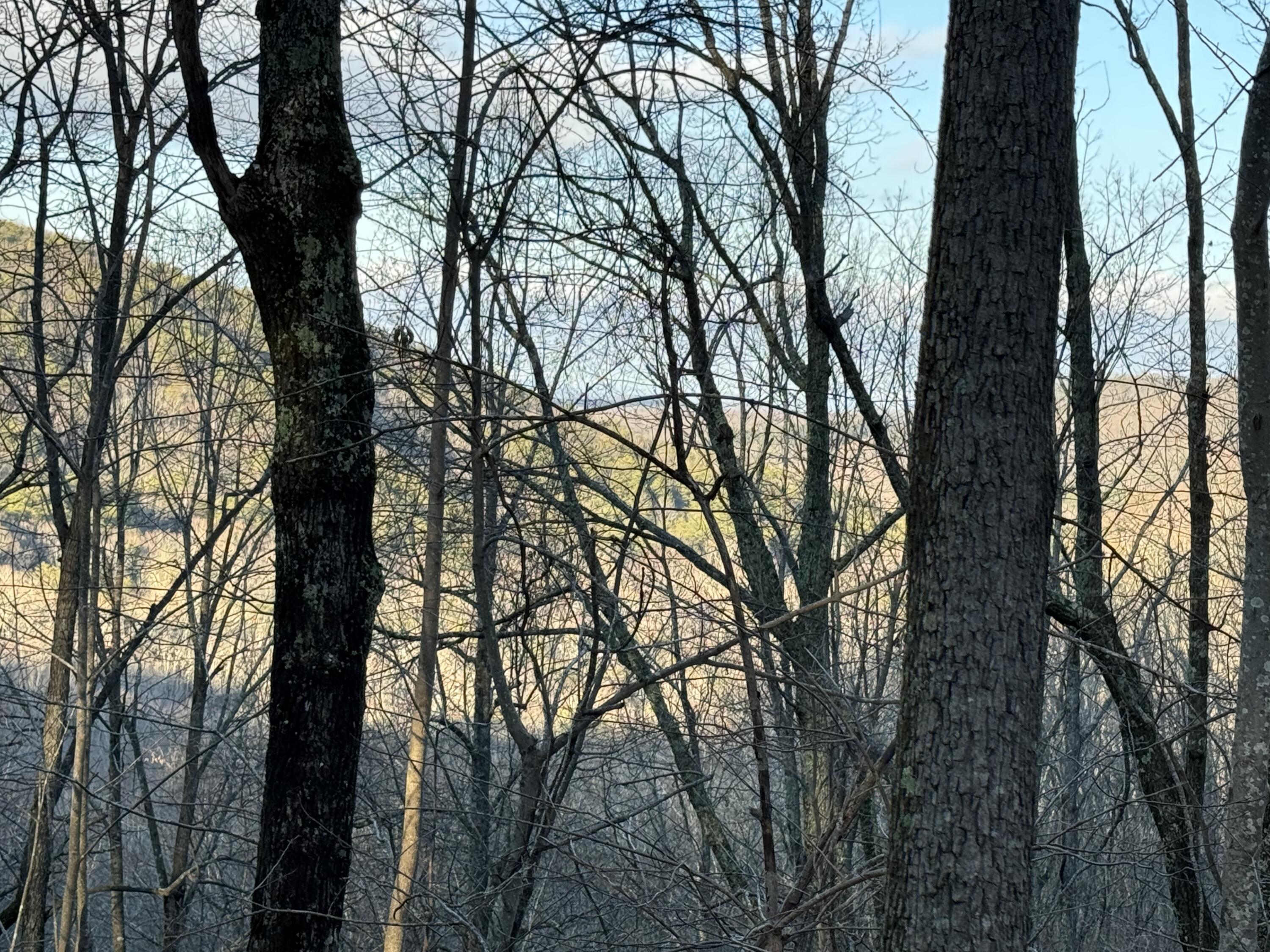 0 Shivas Crest, Unit 70B Rising Fawn, GA 30738 - Photo 6 of 16 IMG_3116