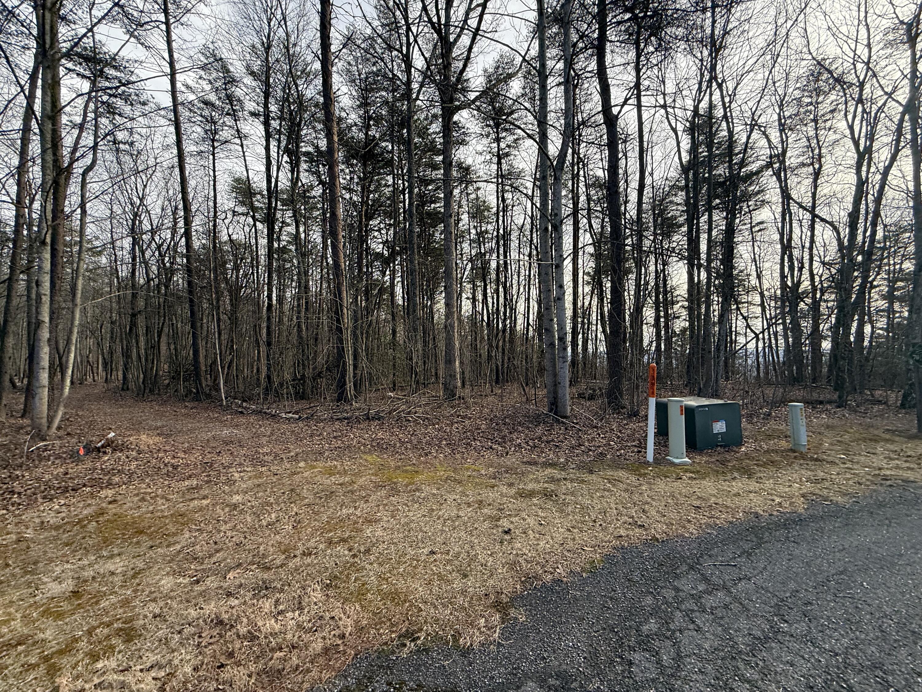 0 Shivas Crest, Unit 70B Rising Fawn, GA 30738 - Photo 7 of 16 IMG_0650