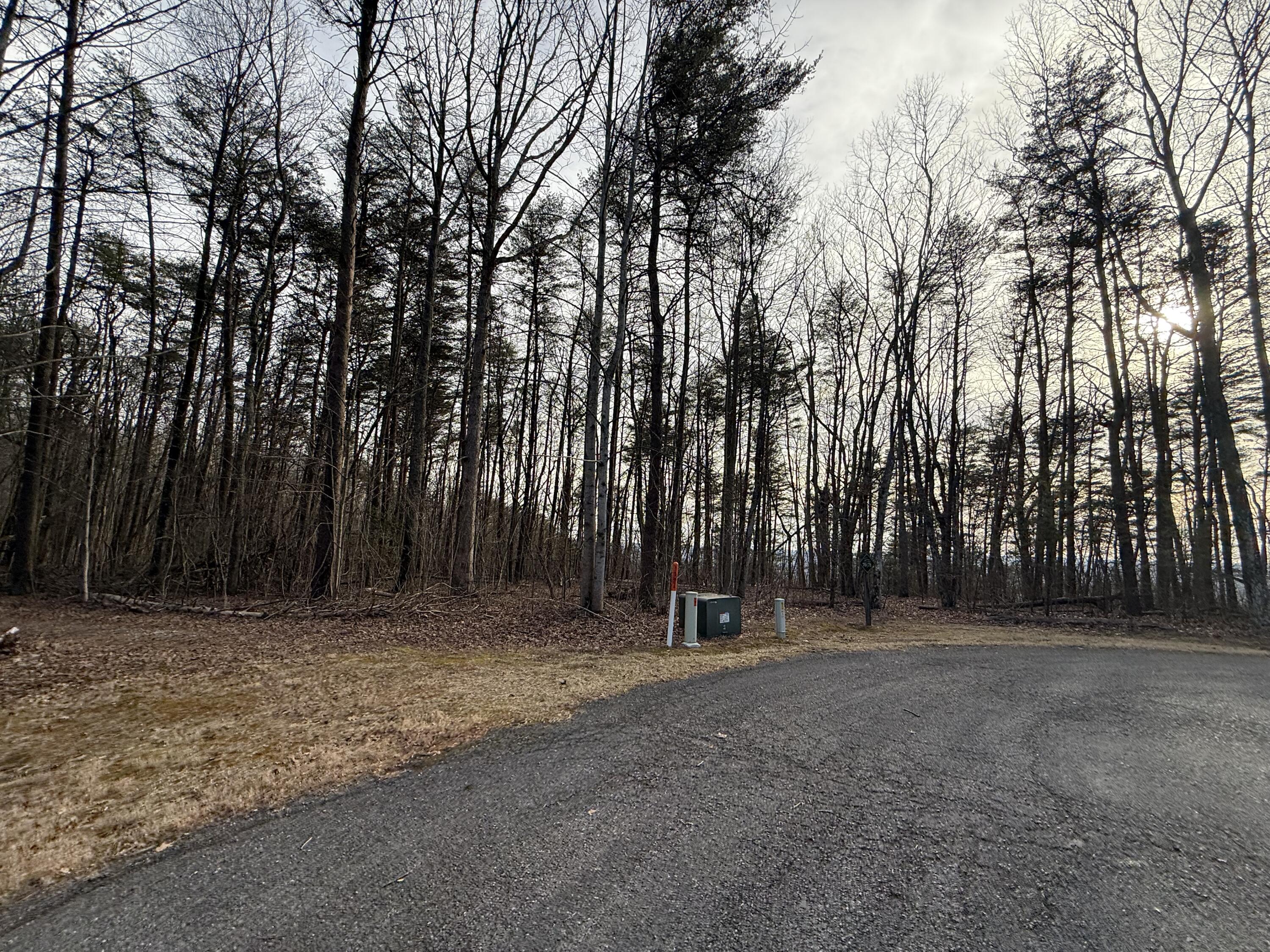 0 Shivas Crest, Unit 70B Rising Fawn, GA 30738 - Photo 8 of 16 IMG_0648