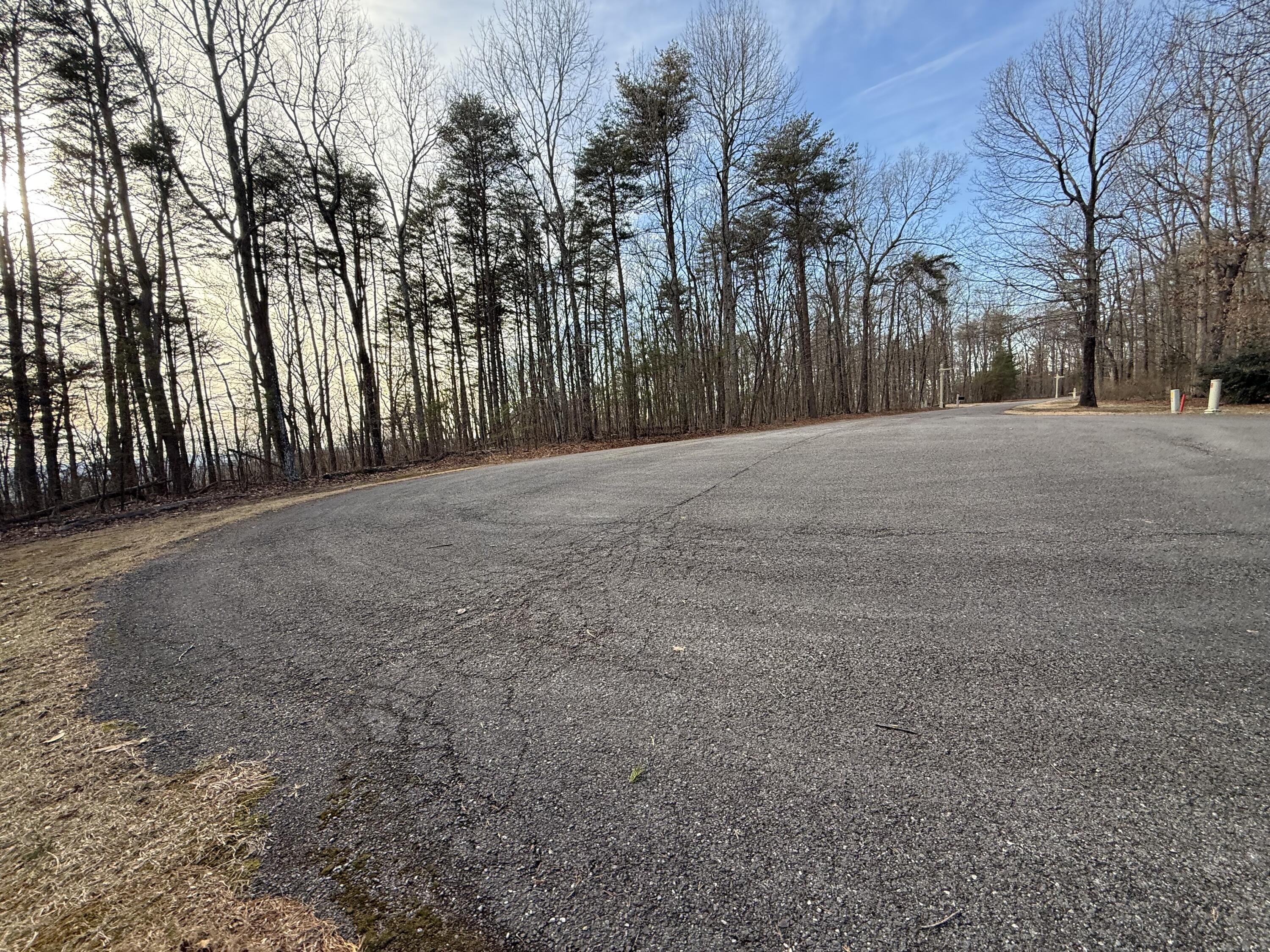 0 Shivas Crest, Unit 70B Rising Fawn, GA 30738 - Photo 9 of 16 IMG_0647