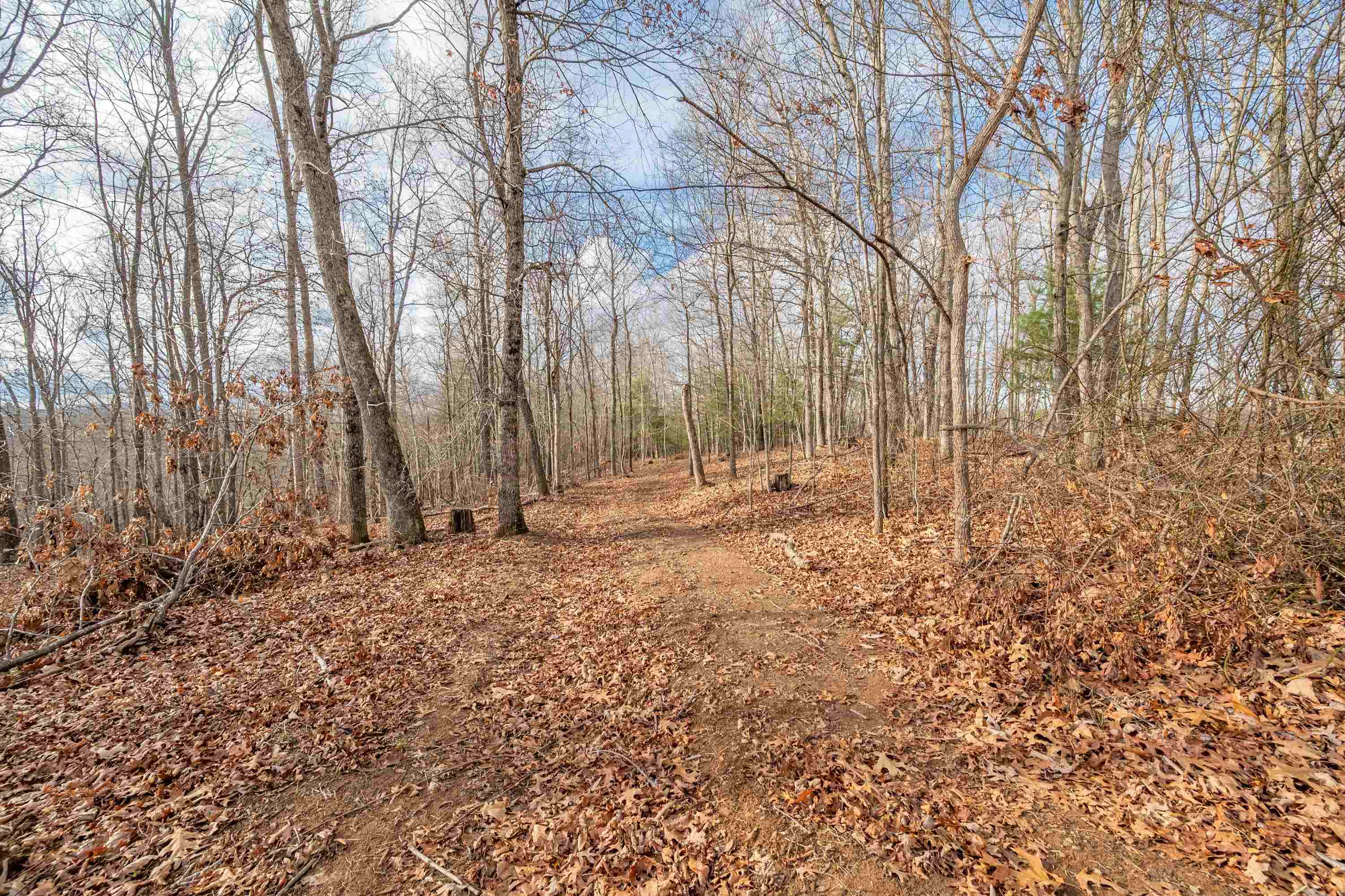 Tbd Spangler Mill Road Northeast Floyd, VA 24091 - Photo 38 of 44 Gallery Image 38