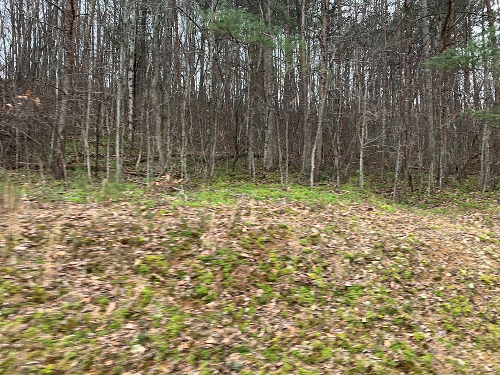 Lot 20 Wolf Ridge Lane Murphy, NC 28906 - Photo 7 of 27
