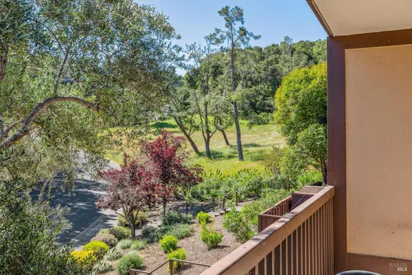 a view of a garden from a balcony