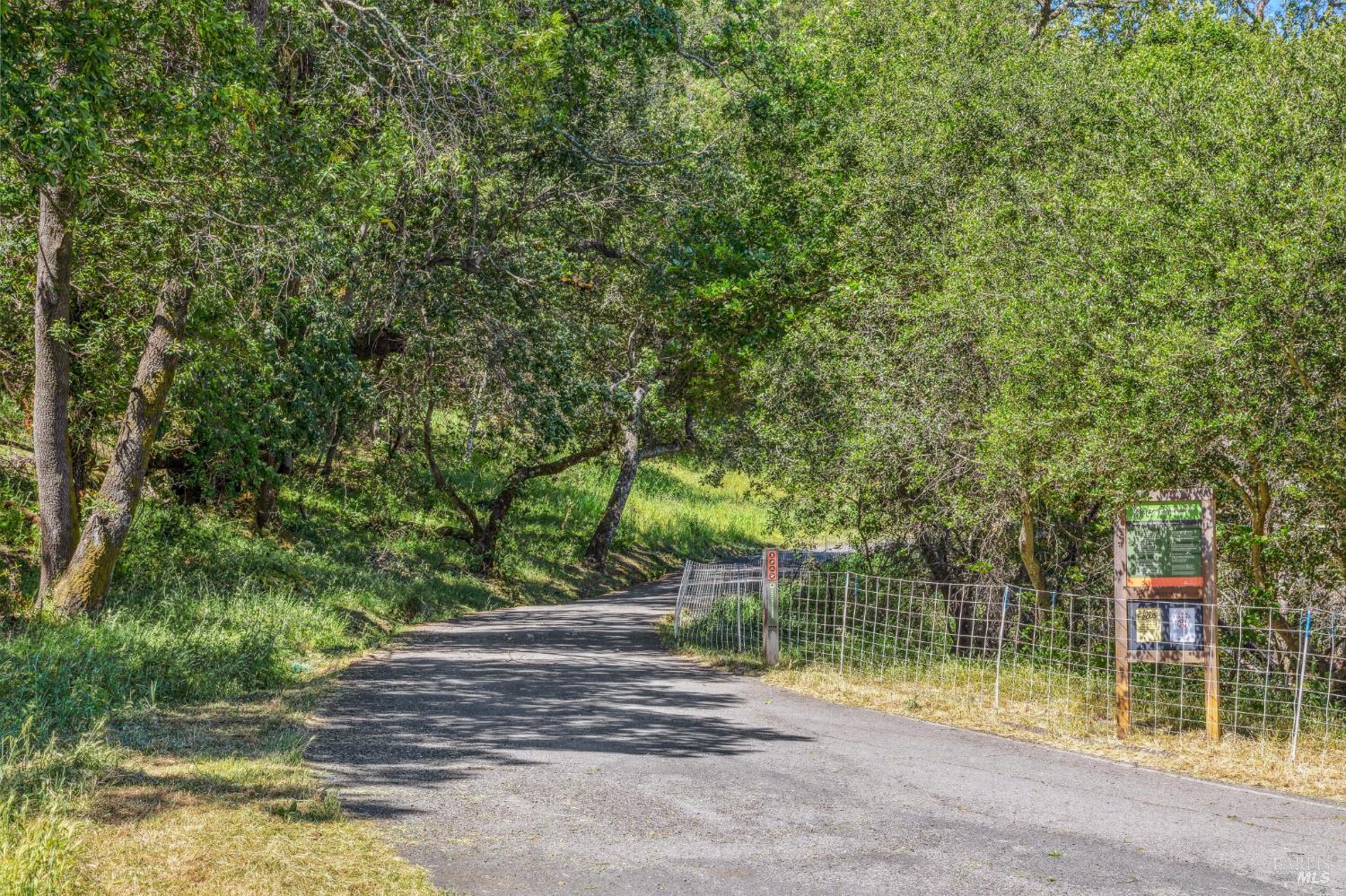 952 Lea Drive San Rafael, CA 94903 - Photo 27 of 27 a view of a park with large trees