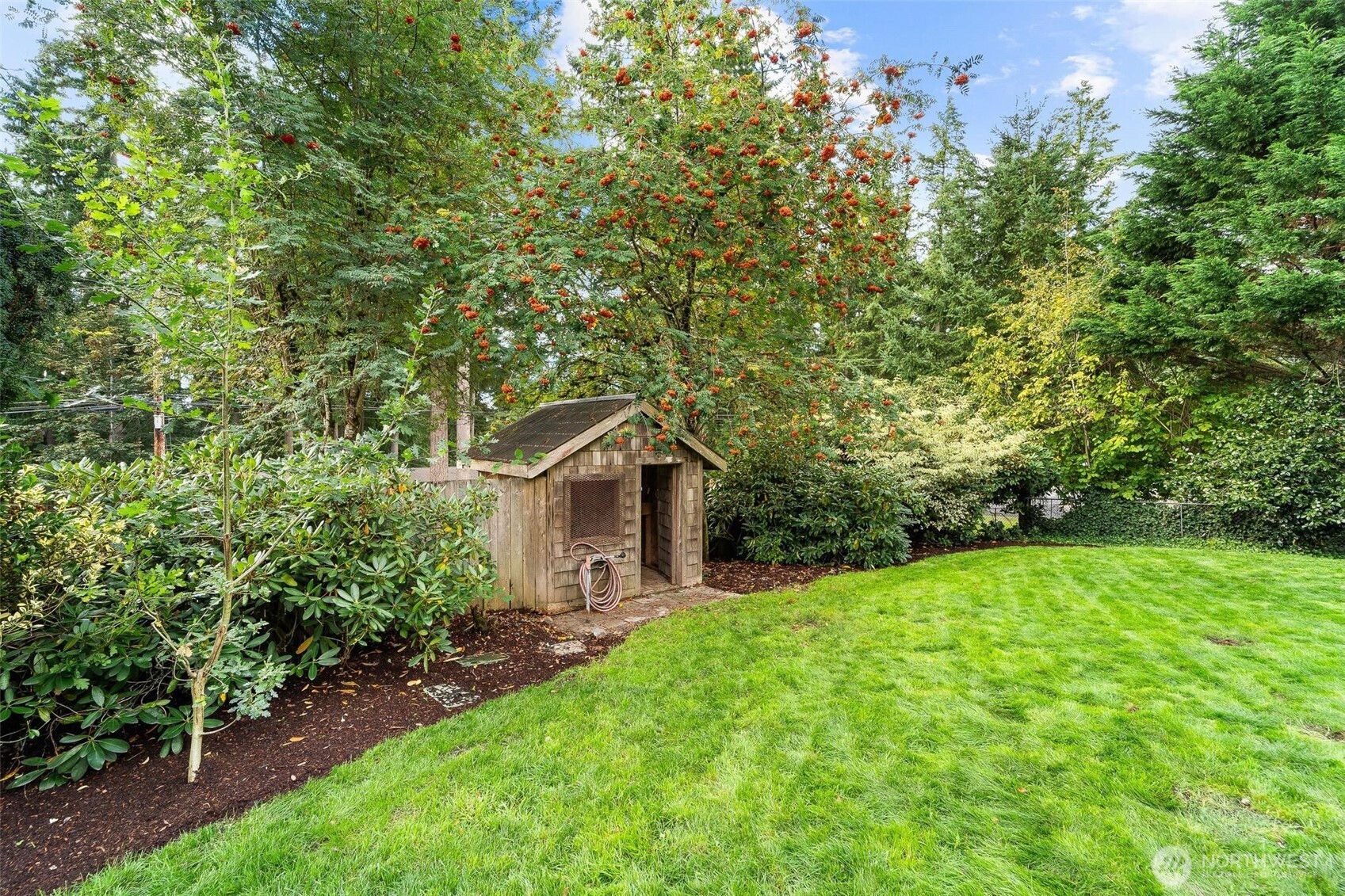 18308 Southeast 145th Street Renton, WA 98059 - Photo 22 of 26 a view of a backyard with potted plants and large tree