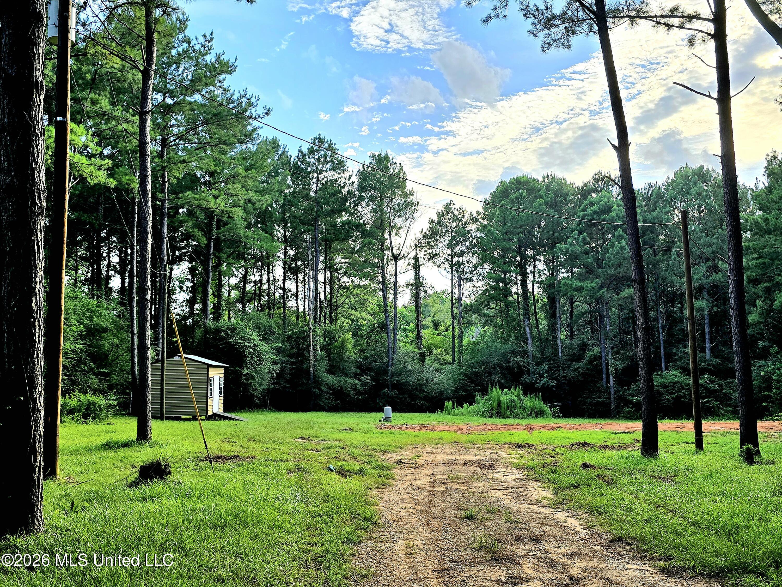 1189 Shady Grove Road Osyka, MS 39657 - Photo 3 of 27 20260622_183110