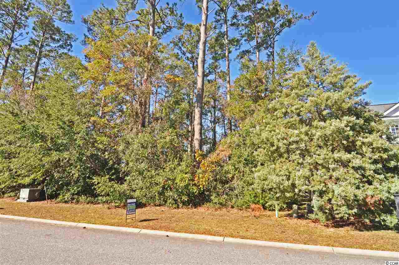 Lot 31 Trigger Fish Lane Murrells Inlet, SC 29576 - Photo 1 of 9