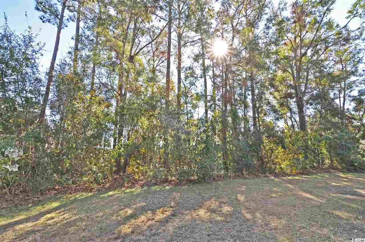 Lot 31 Trigger Fish Lane Murrells Inlet, SC 29576 - Photo 2 of 9