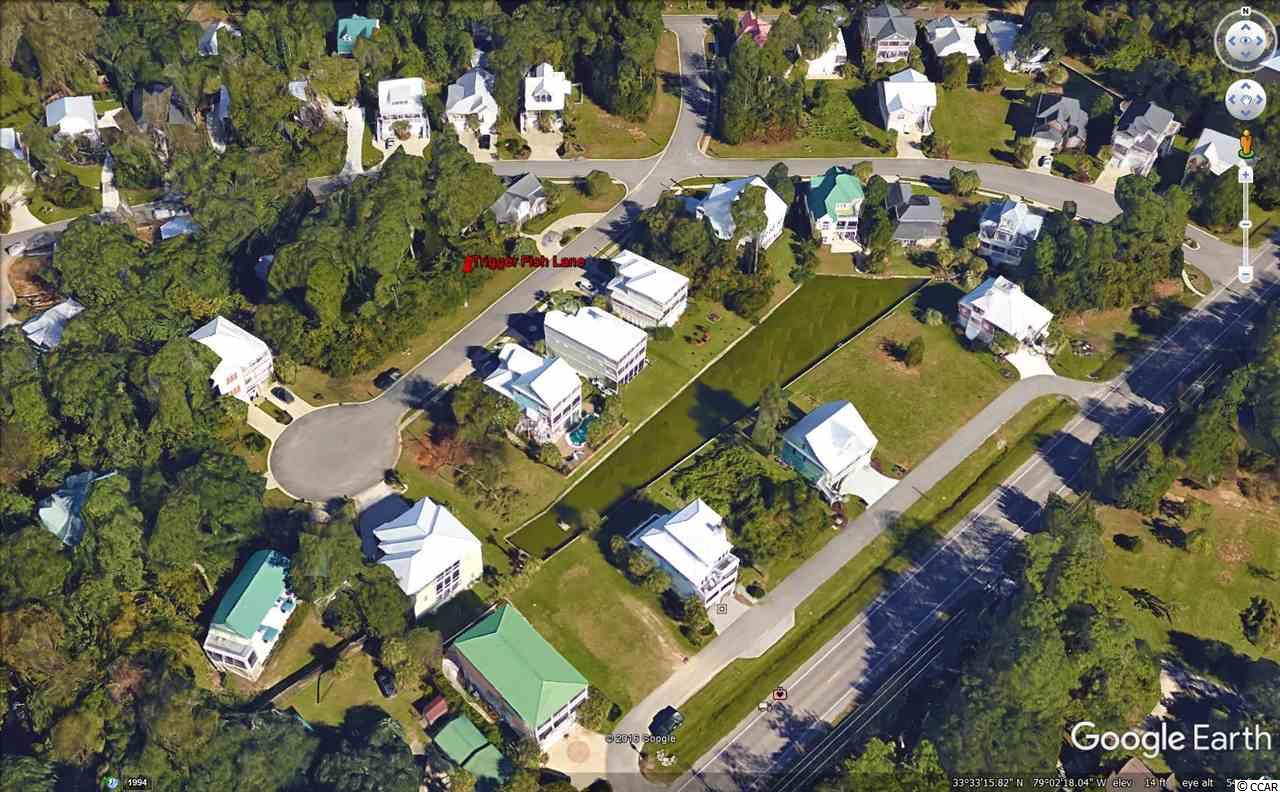 Lot 31 Trigger Fish Lane Murrells Inlet, SC 29576 - Photo 6 of 9