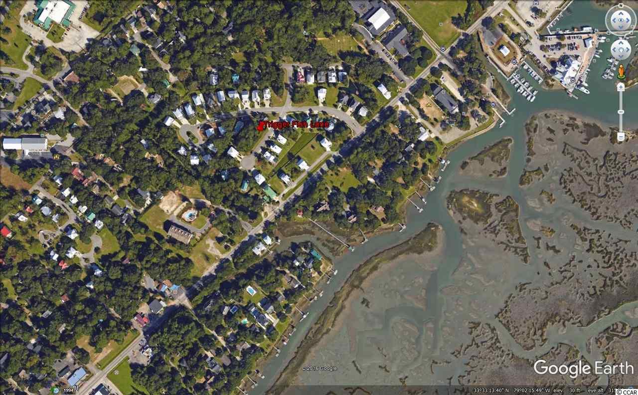Lot 31 Trigger Fish Lane Murrells Inlet, SC 29576 - Photo 7 of 9