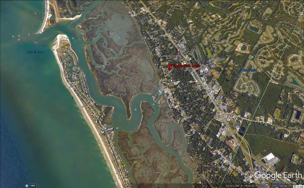 Lot 31 Trigger Fish Lane Murrells Inlet, SC 29576 - Photo 8 of 9
