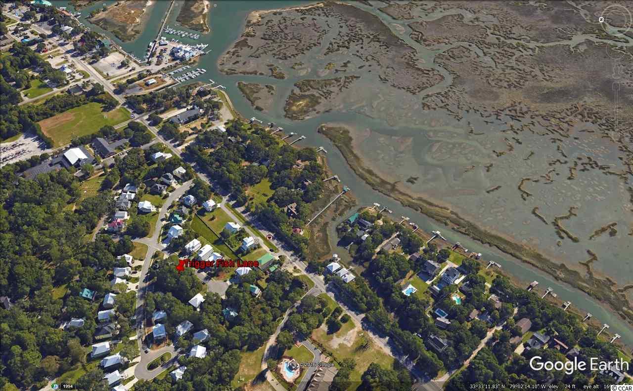 Lot 31 Trigger Fish Lane Murrells Inlet, SC 29576 - Photo 9 of 9