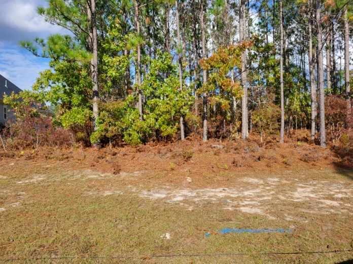 154 Commonwealth Way Aiken, SC 29803 - Photo 7 of 7 Gallery Image 7