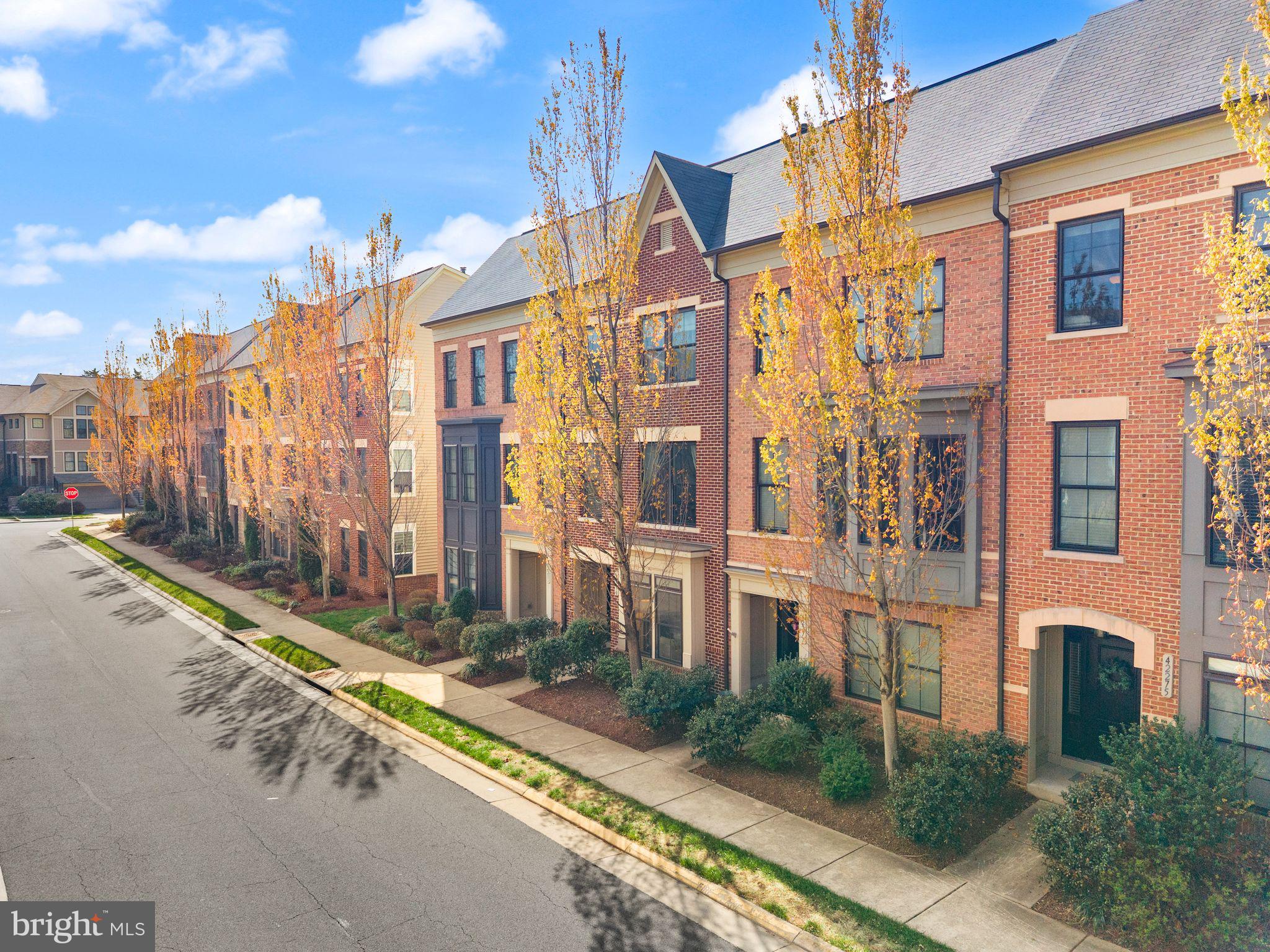 42279 Riggins Ridge Terrace Brambleton, VA 20148 - Photo 44 of 64