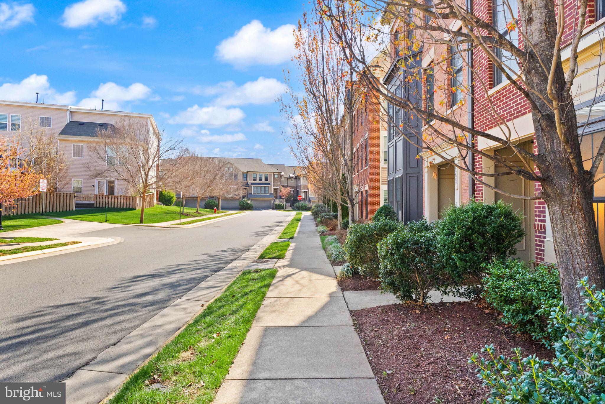 42279 Riggins Ridge Terrace Brambleton, VA 20148 - Photo 48 of 64