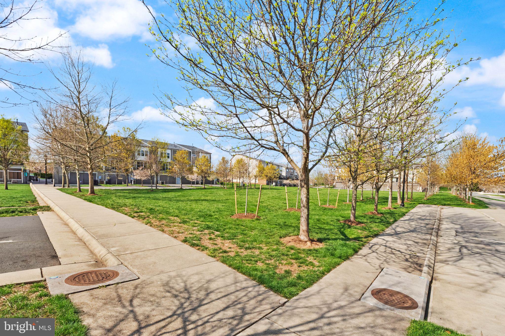 42279 Riggins Ridge Terrace Brambleton, VA 20148 - Photo 51 of 64