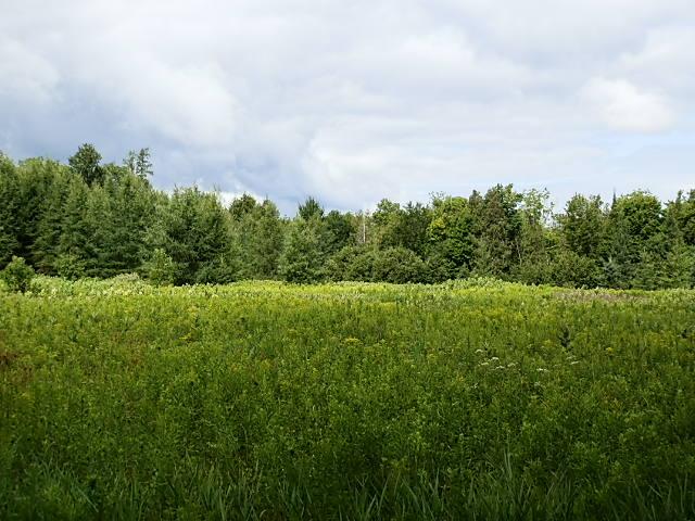 W6530 Old 182 Road Park Falls, WI 54552 - Photo 16 of 22 Gallery Image 16