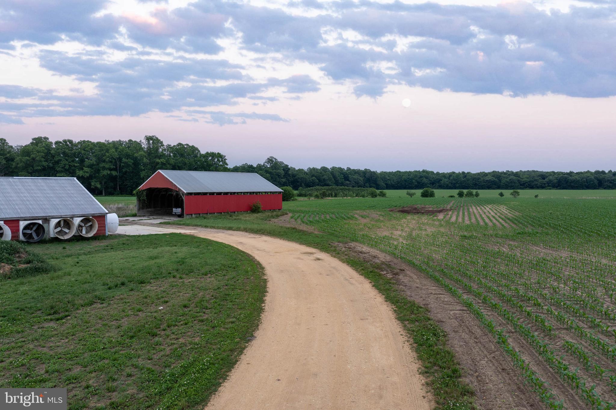 7347 Harmony Road Preston, MD 21655 - Photo 10 of 63 Road Leading to Chicken Coops & Barns