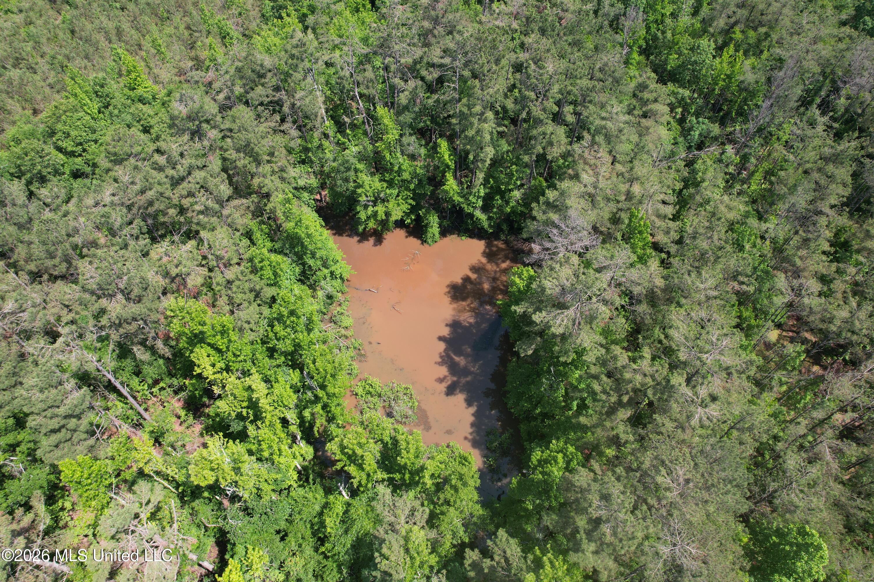 West Boulevard West, MS 39192 - Photo 2 of 9 DJI_0324