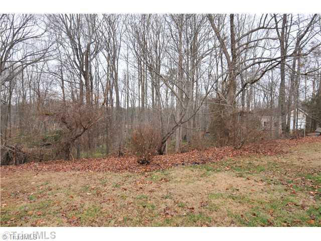 6559 Holder Road Clemmons, NC 27012 - Photo 14 of 14 Yard/Garden.