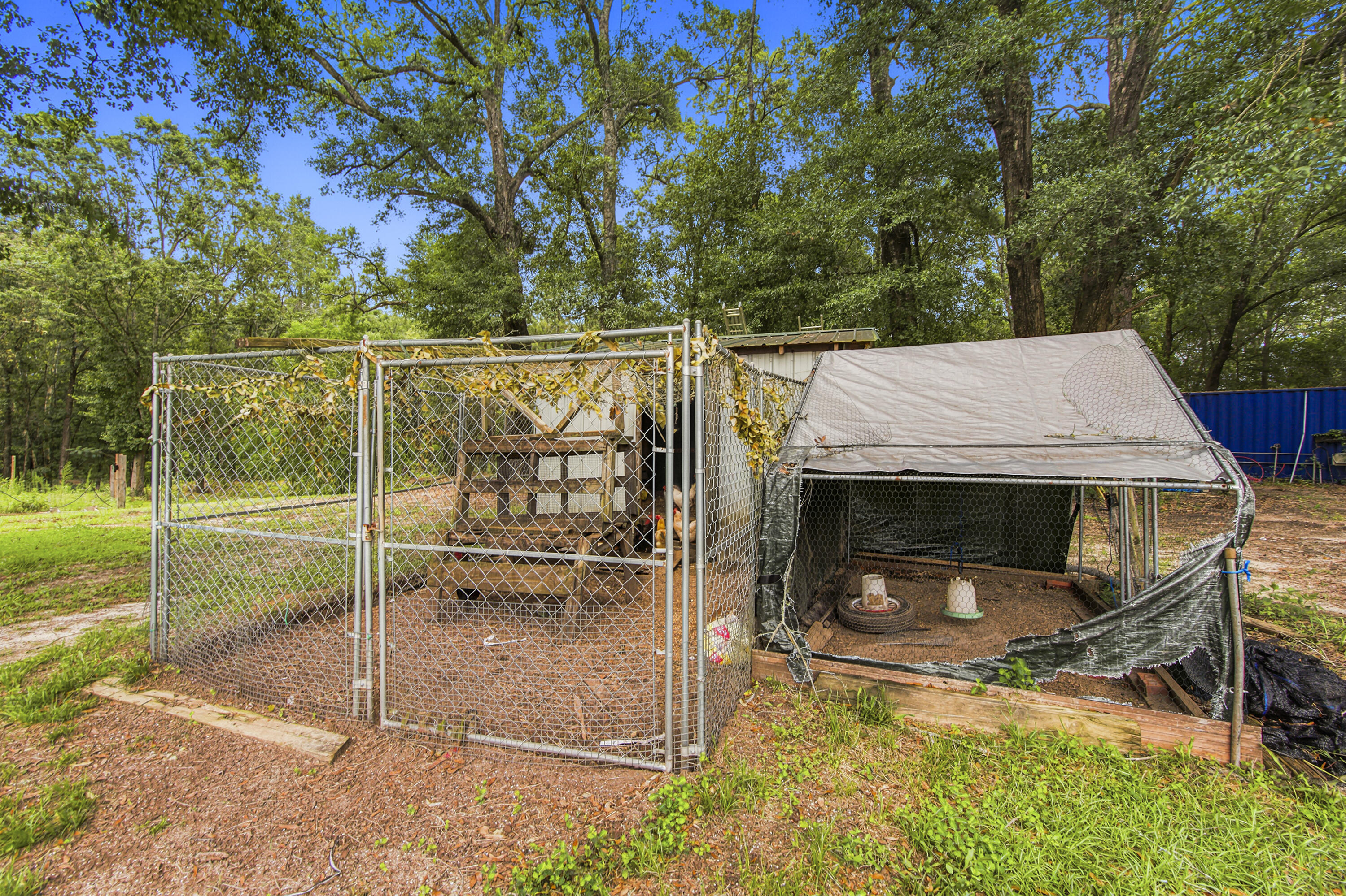 108 Hayes Road DeFuniak Springs, FL 32433 - Photo 35 of 37 Shed for chickens