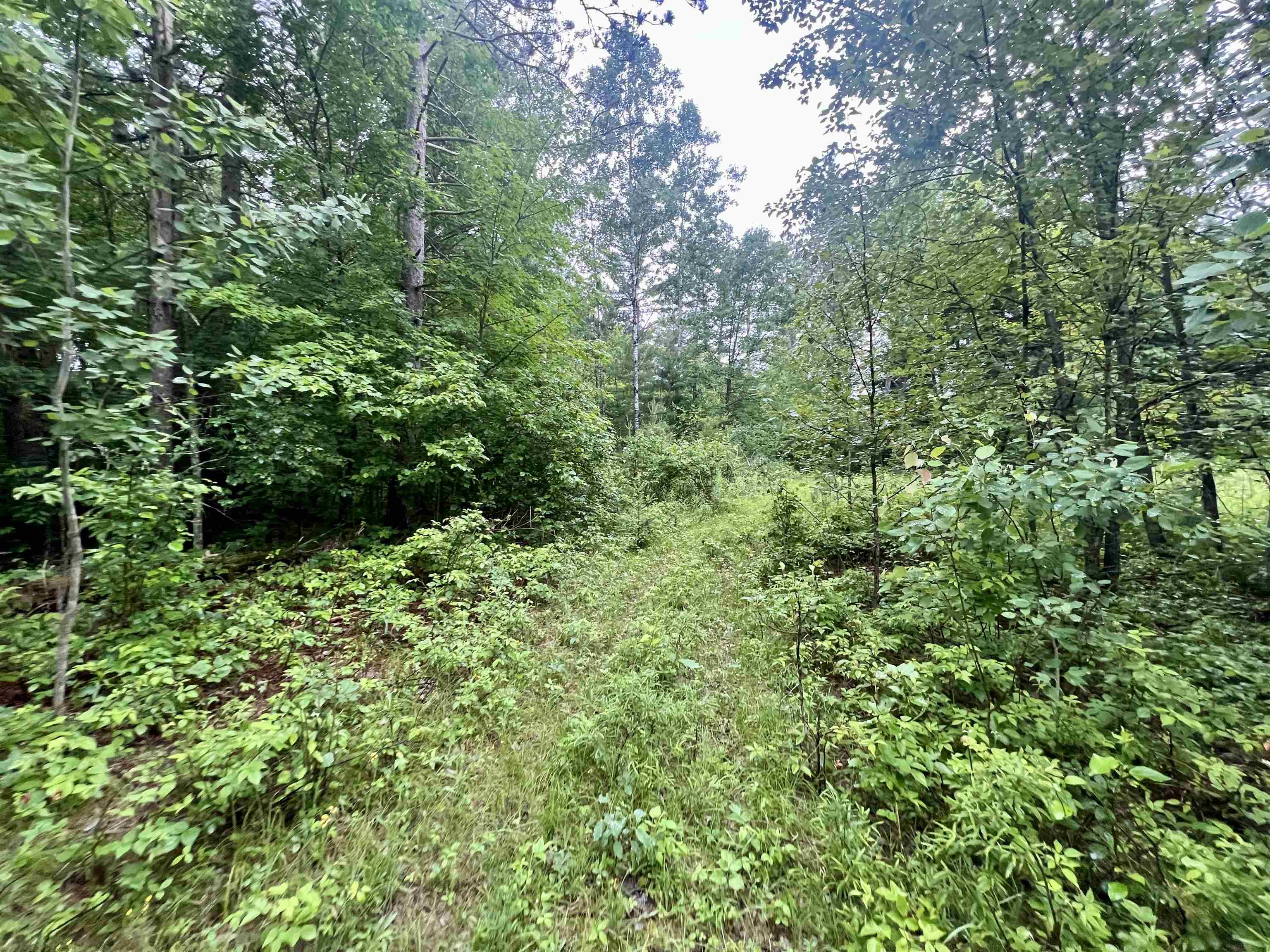 W8801 Moonshine Hill Road Crivitz, WI 54114 - Photo 18 of 39