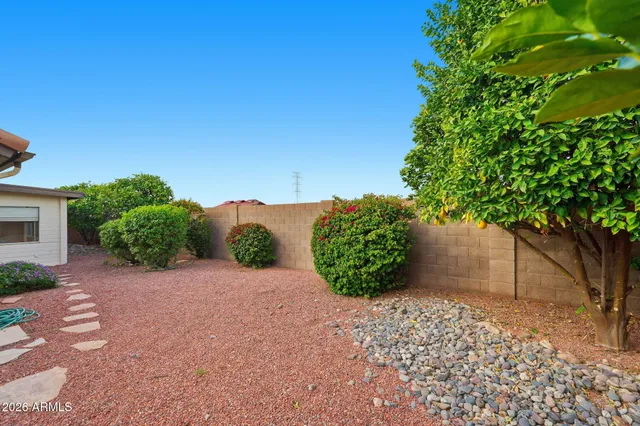 a view of a garden with plants