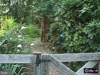 54 Braeburn Road Havertown, PA 19083 - Photo 2 of 6
